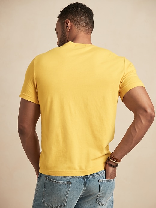 L'image numéro 5 présente T-shirt ras du cou en coton biologique au fini soyeux