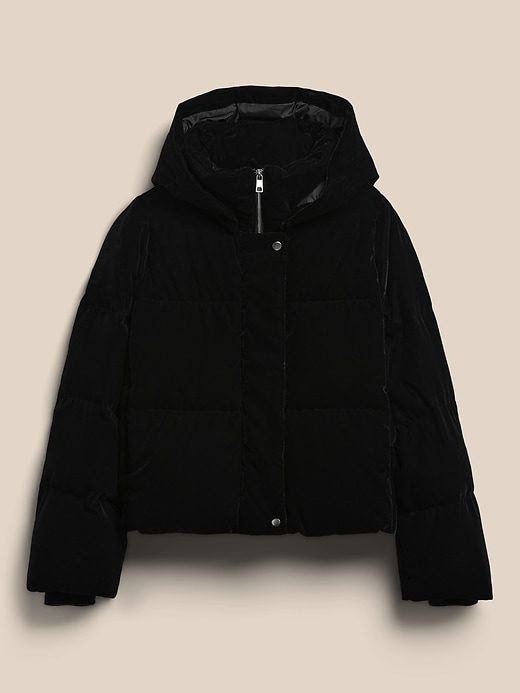 Navy velvet puffer on sale jacket