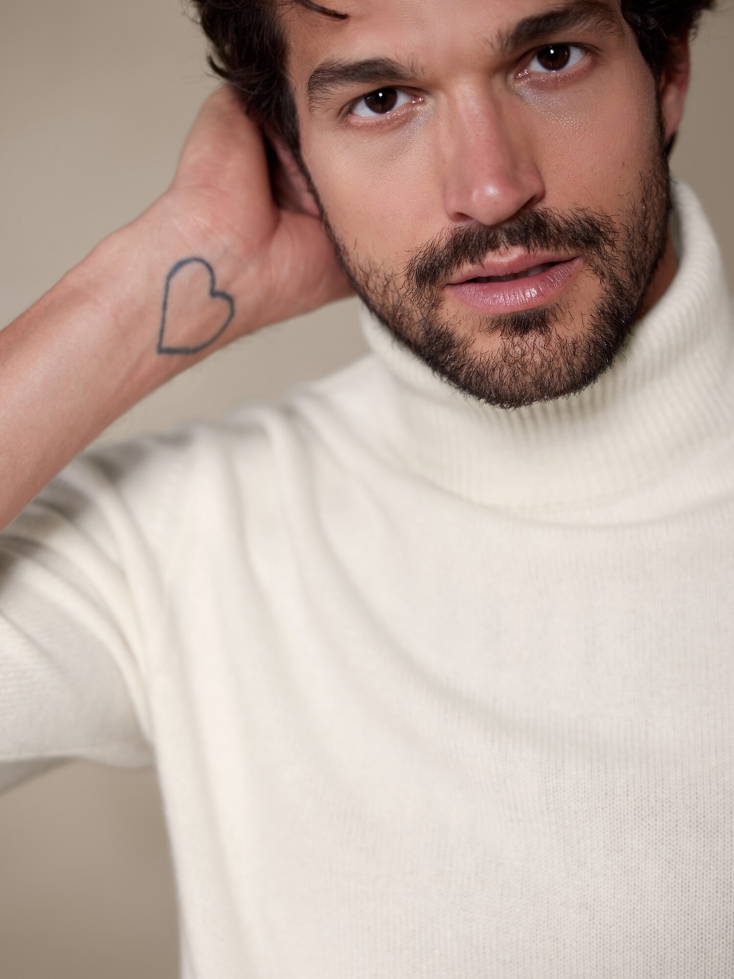 Urbino Cashmere Turtleneck Sweater