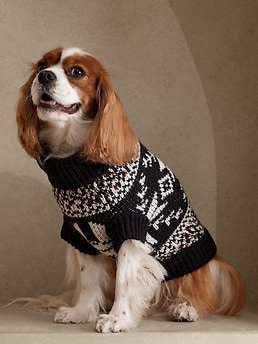 Brooks brothers dog outlet sweater