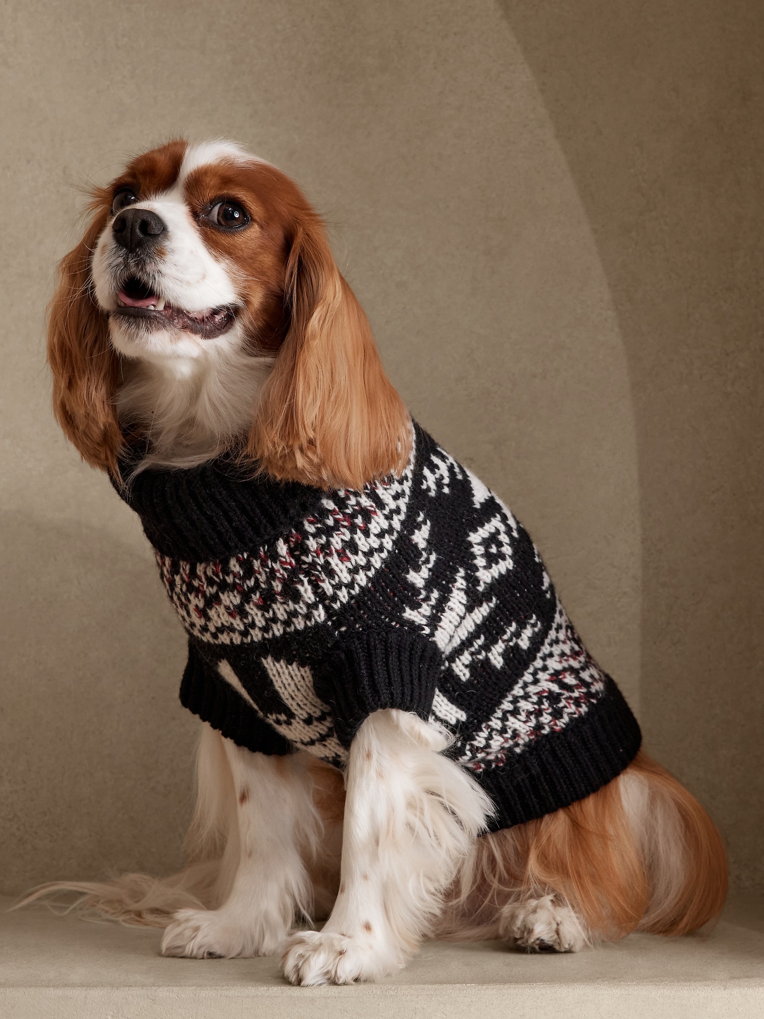 Rafa Fair Isle Dog Sweater
