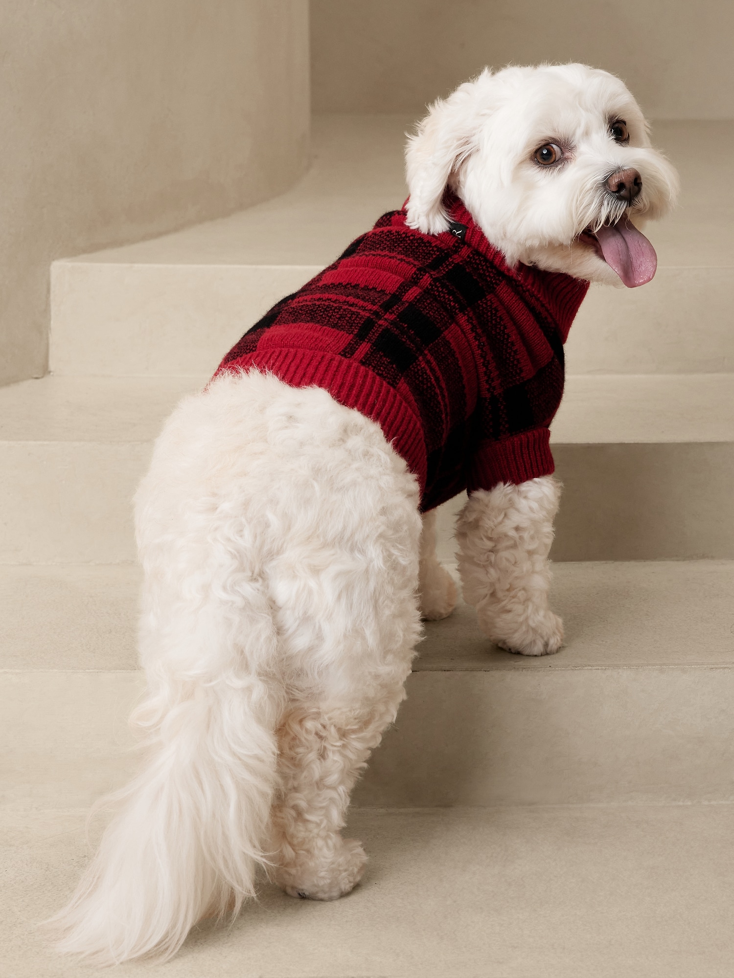 Buffalo plaid dog clearance coat