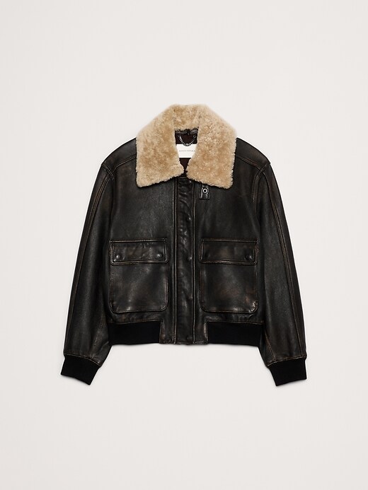 Distressed Leather Flight Jacket | Banana Republic
