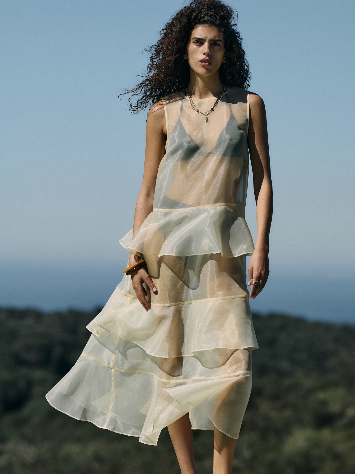 L'image numéro 5 présente Robe longue étagée en organza